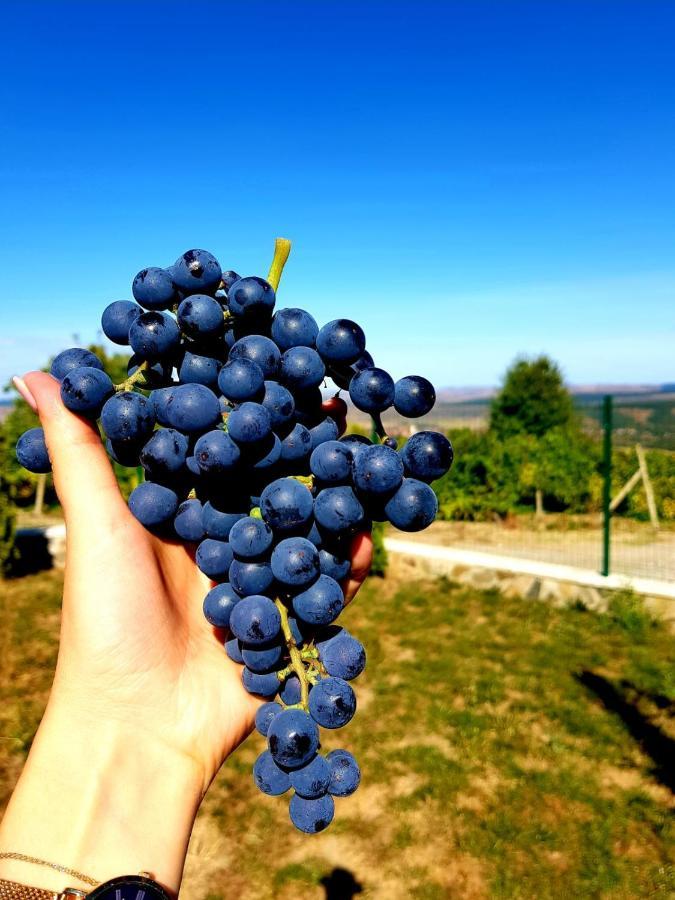 Cabana Dintre VII Apoldu de Sus Εξωτερικό φωτογραφία